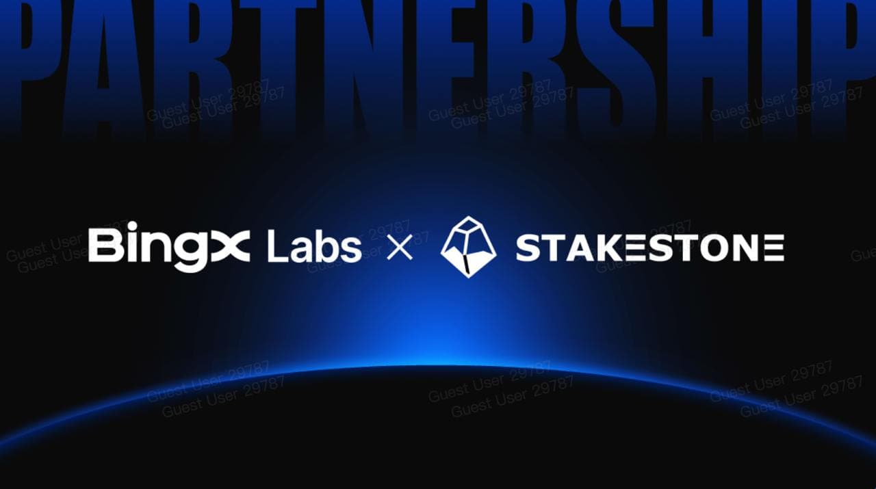BingX Labs贡献1,000万美元在StakeStone以推进全链流动性解决方案