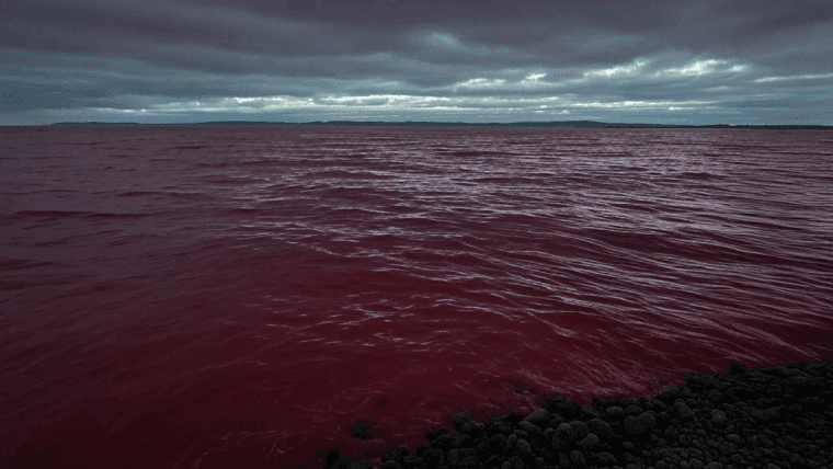 Mer de Rouge : Les Altcoins perdent des milliards, le marché des cryptomonnaies plonge à 2,84 trillions de dollars