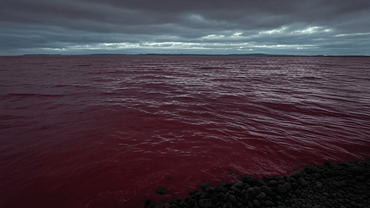 Sea of Red: Altcoins Blør Milliarder, Kryptomarkedet Synker til $2,84 Billioner