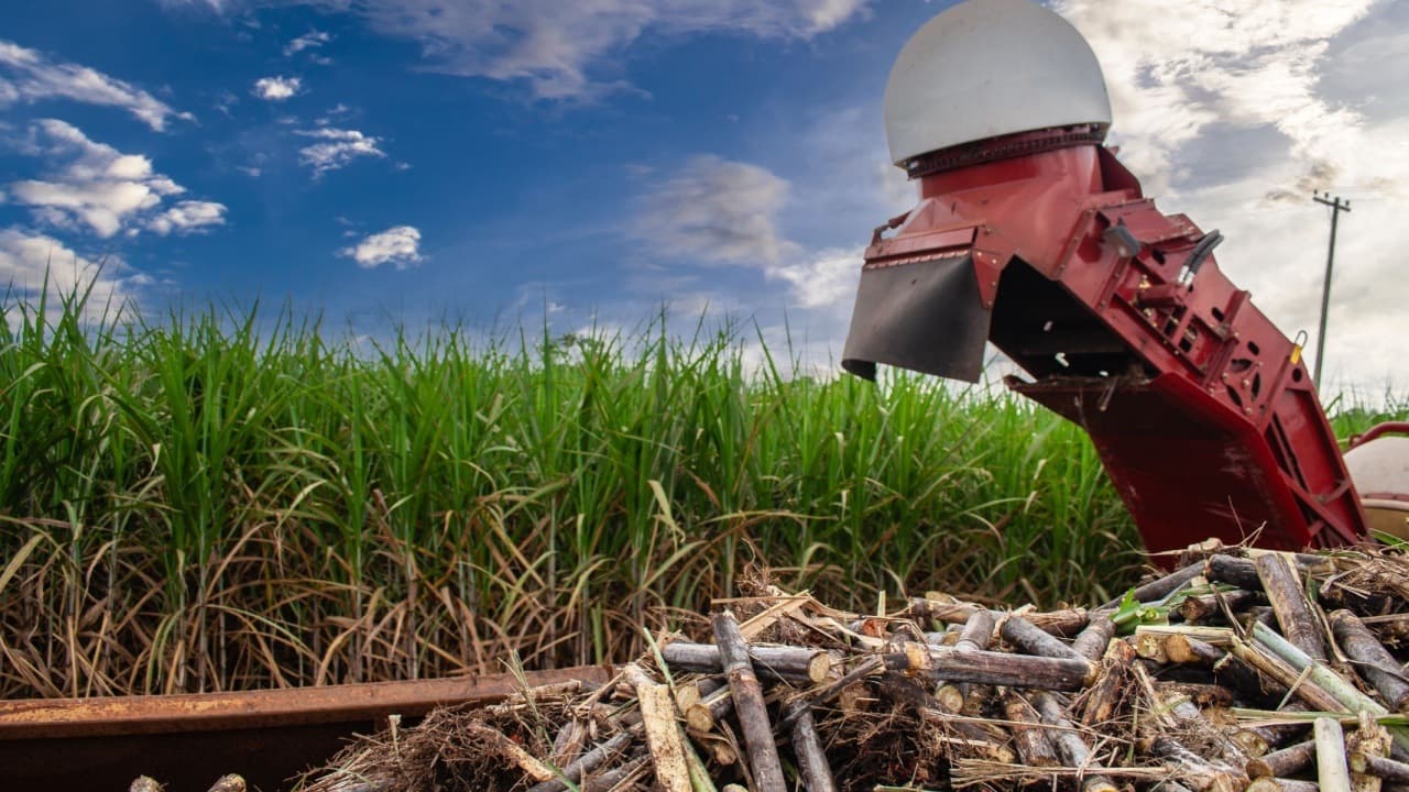 Make Farming Great Again: Tether Presser for Majoritetsandel i Adecoagro
