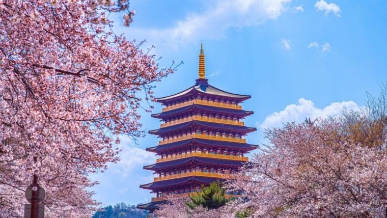 韩国将试验CBDC，参与者包括10万用户和7家银行