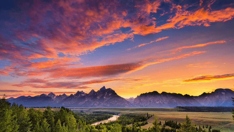 Wyoming Stablecoin: Chainalysis, Inca Digital Selected to Help Detect Illicit Use of WYST