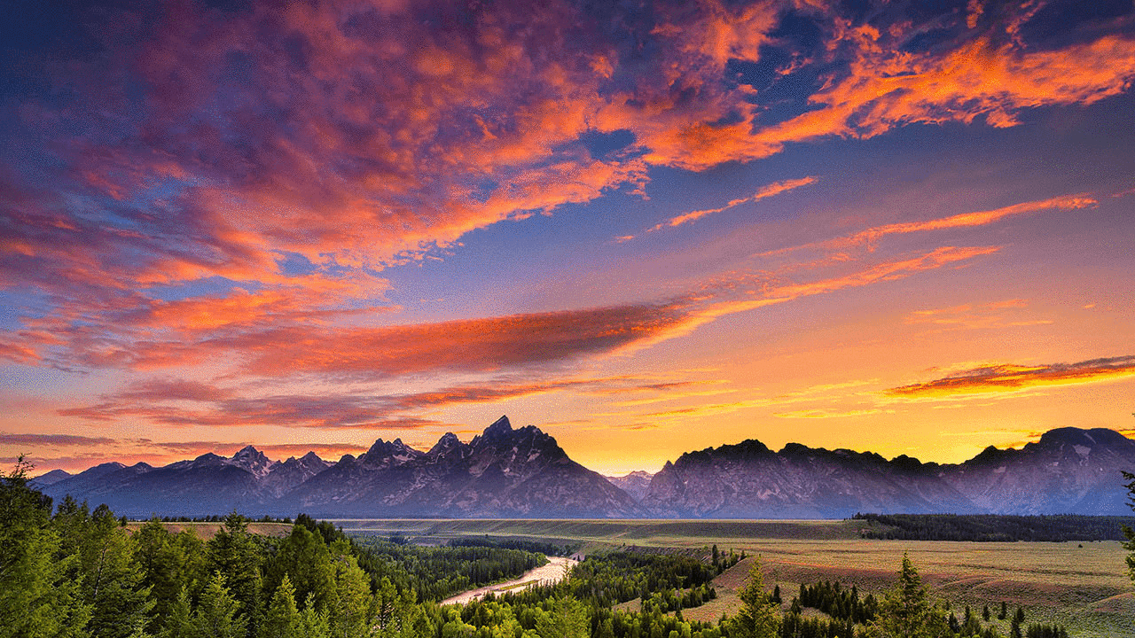 Wyoming Stablecoin: Chainalysis, Inca Digital Selected to Help Detect Illicit Use of WYST