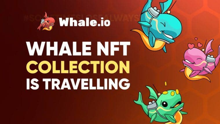 Whale NFT 收藏集将通过历史性的 TON-to-Solana 桥梁掀起波澜