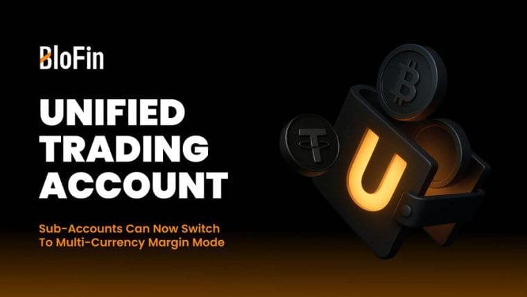 BloFin在全球首批四个交易所中率先支持全统一交易账户 (UTA)