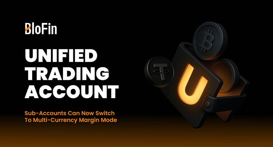 BloFin在全球首批四个交易所中率先支持全统一交易账户 (UTA)