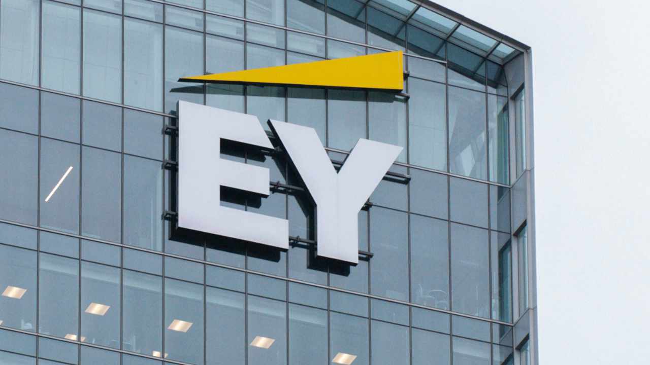 El Grupo de Trabajo de Criptomonedas de la SEC recibe información crucial de EY