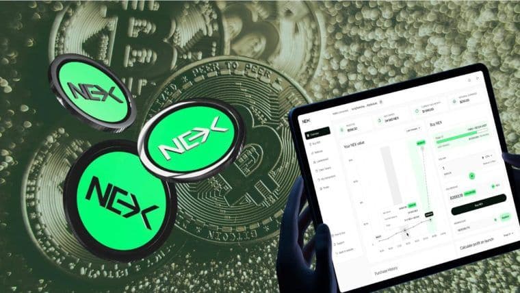 XRP价格观察：整合还是崩溃？同时，Nexchain通过300万美元的预售筹集激增