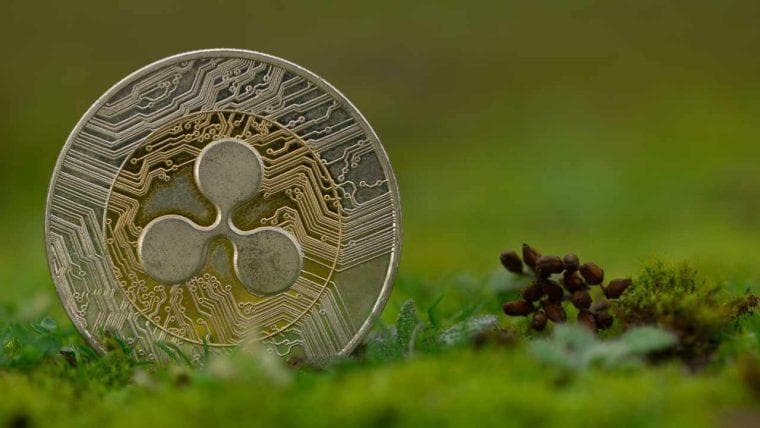 Ripple lancia un fondo RLUSD da 25 milioni di dollari, il primo nel suo genere, per sostenere l'istruzione negli Stati Uniti