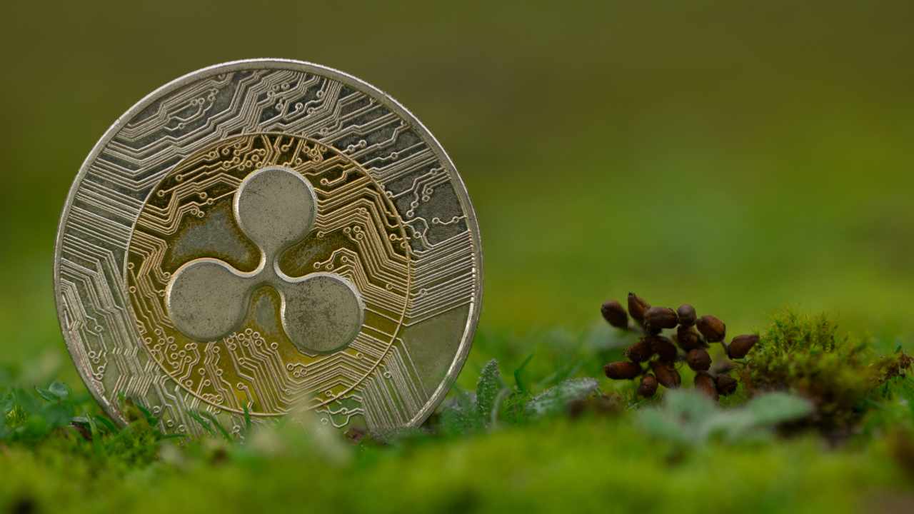 Ripple Launches First-of-Its-Kind $25M RLUSD Fund to Support US Education