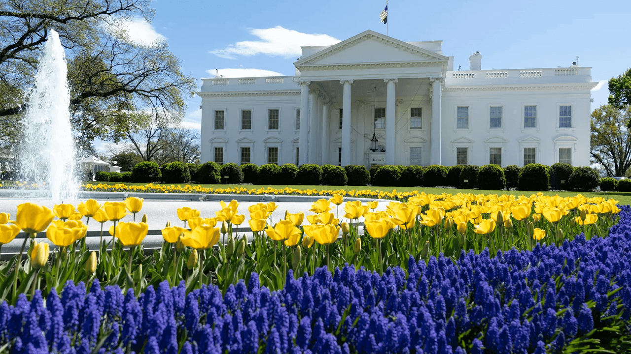 Crypto.com utökar närvaron i USA med nytt kontor i DC mitt under Trumps regleringsförändringar