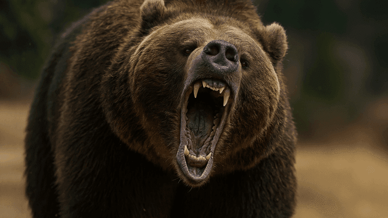 Bitcoin Cena Obserwacja: Uwaga Przed Nami, Jak Impet Słabnie Poniżej Kluczowych Poziomów