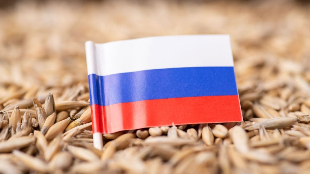 Russia Considers Crypto for Settling Grain Exports