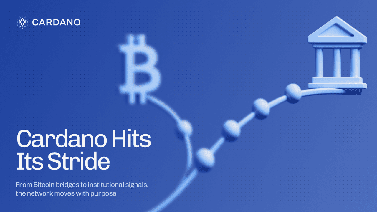 Cardano在实际进展和机构信号方面取得进展