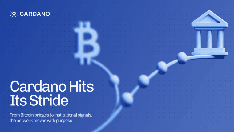 Cardano在实际进展和机构信号方面取得进展