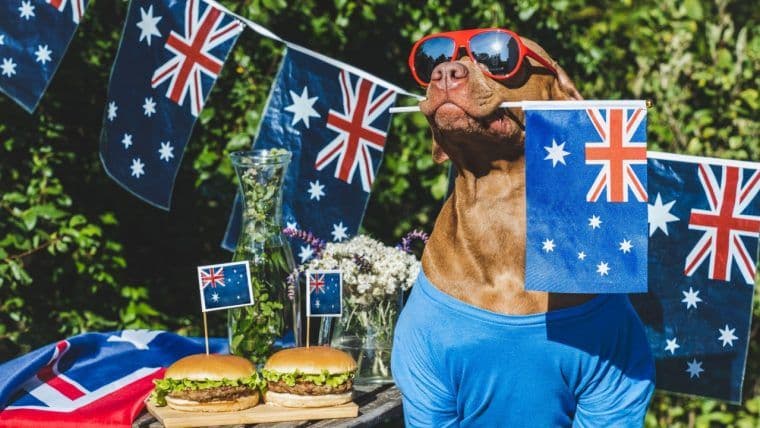 Webull spouští obchodování s kryptoměnami v Austrálii, nabízí 240 tokenů prostřednictvím Coinbase Prime