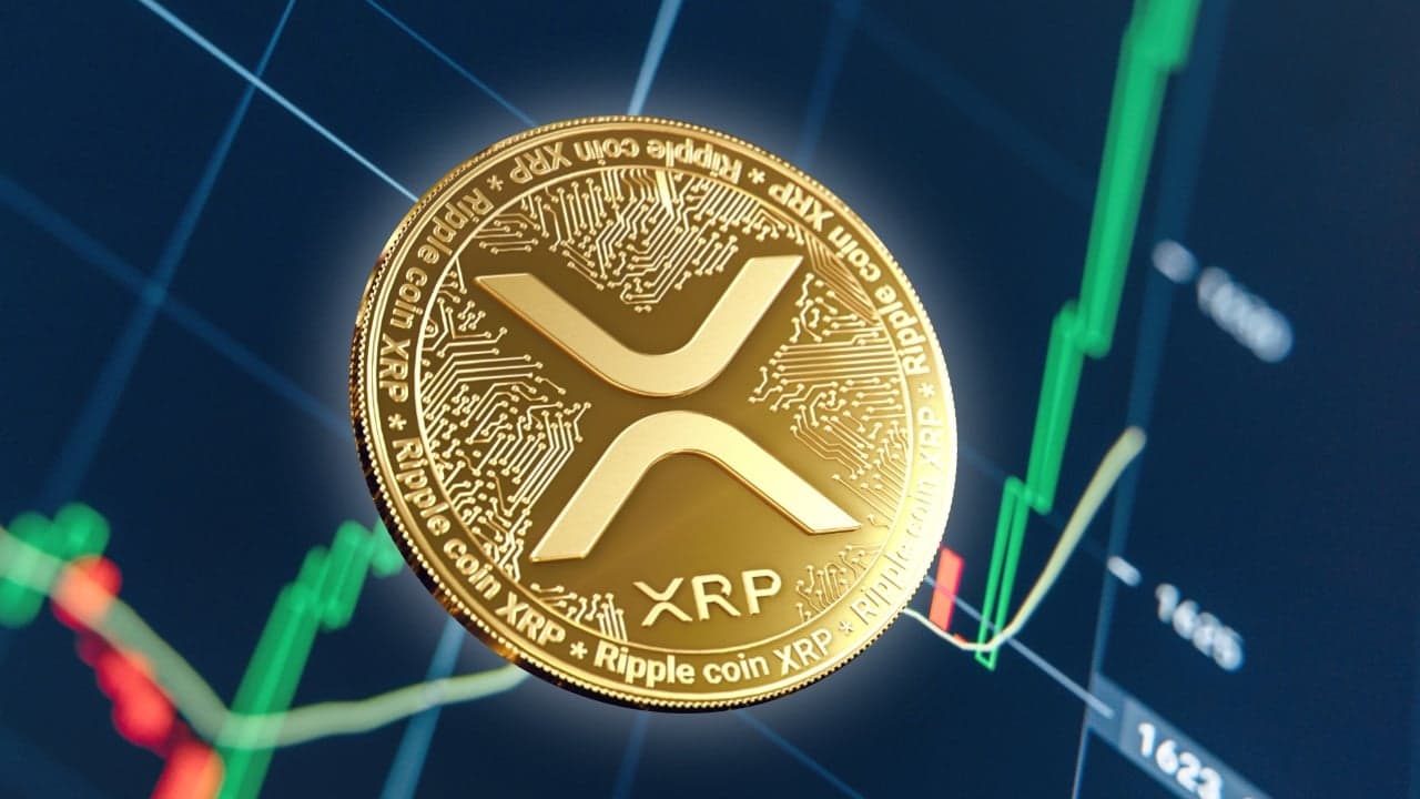רגע שוורי ל-XRP? הגשת ה-ETF של אמפליפיי עשויה לפתוח את השערים עבור מוסדות