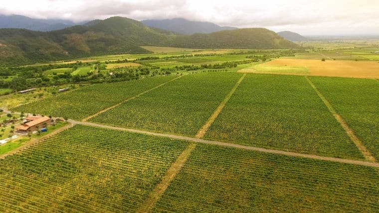 Джорджия обеспечивает партнёрство на сумму $100 млн для продвижения токенизированных активов реального мира (RWA) в сельском хозяйстве