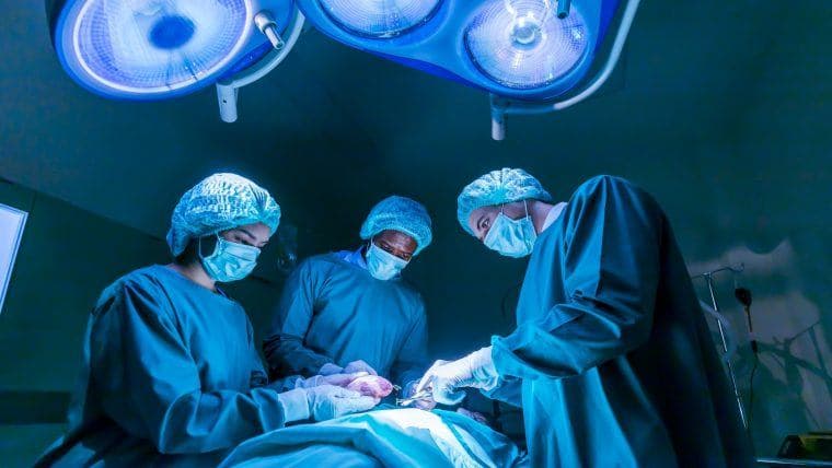 Putin und Xi beim Diskutieren über Lebensverlängerung belauscht, was weltweites Aufsehen erregt