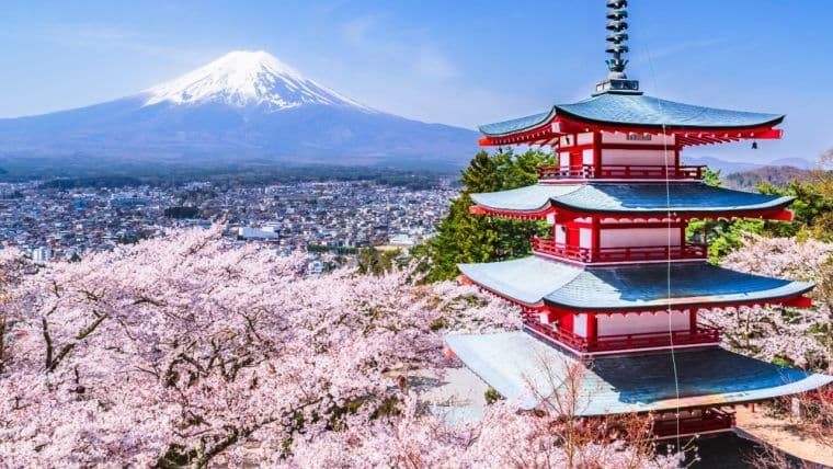 Metaplanet kauft 136 BTC, meldet 487% YTD BTC-Ertrag