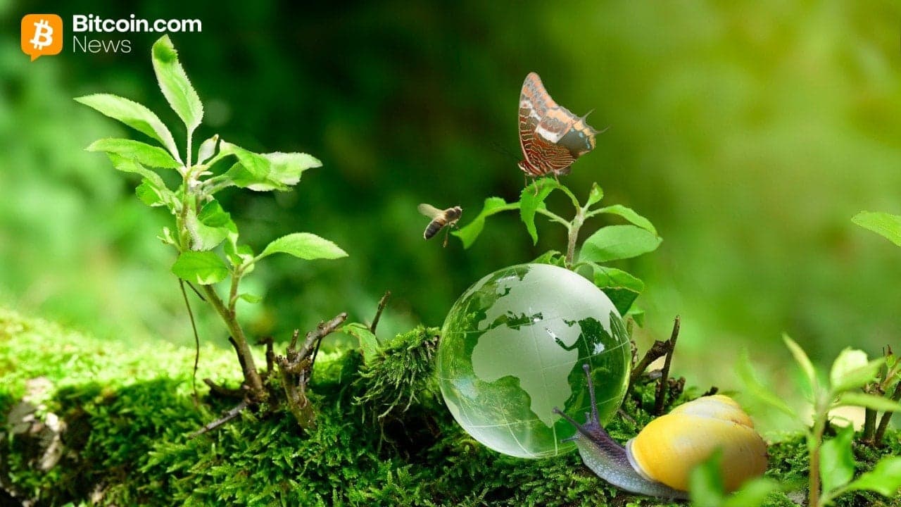 Bee Maps strânge 32 milioane USD pentru a extinde harta AI descentralizată alimentată de Solana