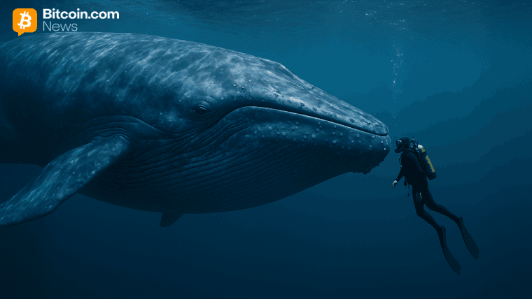 Ancien Bitcoin S'éveille : Un Portefeuille de 2011 Déplace 4 000 BTC Après 14 Ans de Silence