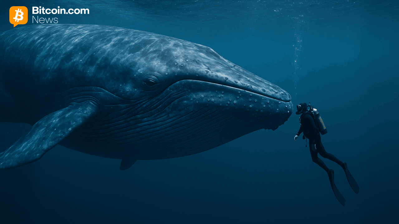 Uråldrig Bitcoin vaknar: 2011-plånbok flyttar 4,000 BTC efter 14 år av tystnad