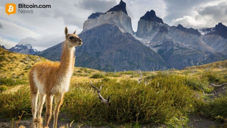 Defillama Elimina los Volúmenes de Aster Perp por Sospechas de Wash Trading