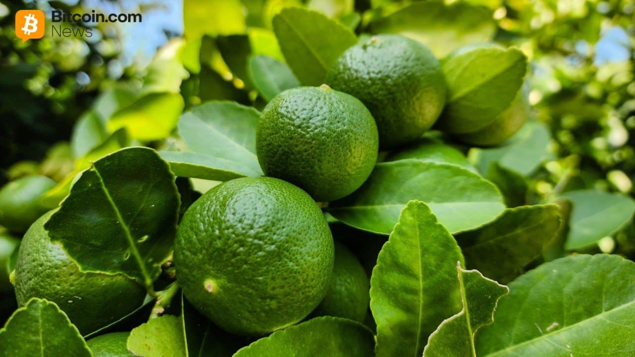سرمایه‌گذاری‌های کریپتو در آرژانتین داغ می‌شود: Lemon برای گسترش در لاتام ۲۰ میلیون دلار جمع‌آوری کرد