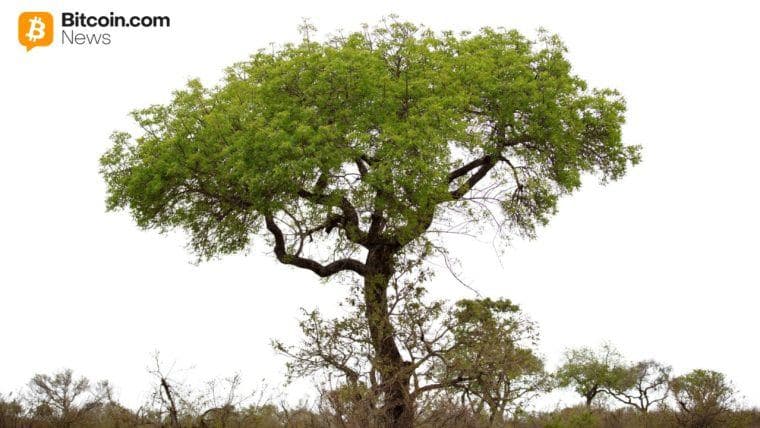 Soluzioni di Asset Digitali Completa il Primo Investimento in Obbligazioni Governative Tokenizzate in Australia