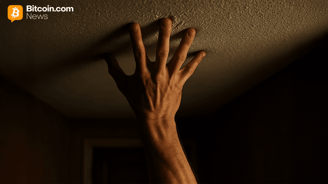 Prix du Bitcoin : Les traders visent un plafond de 106K $ dans une poussée volatile