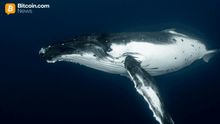 Early Bitcoin Holder Wraps up $1.3B Selloff With Fresh $230M Kraken Move