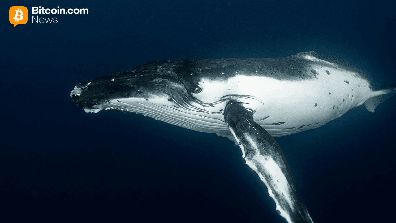 Early Bitcoin Holder Wraps up $1.3B Selloff With Fresh $230M Kraken Move