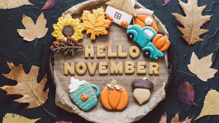 ניצול באלאנסר, קריסת Stream Finance, וזוהר קרנות סל על סולאנה — סקירת שבוע