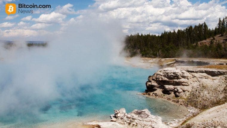 Delphi Digital: Institutionaalinen Kryptoruokahalu 'Haihtunut', Virrat Alas 90%