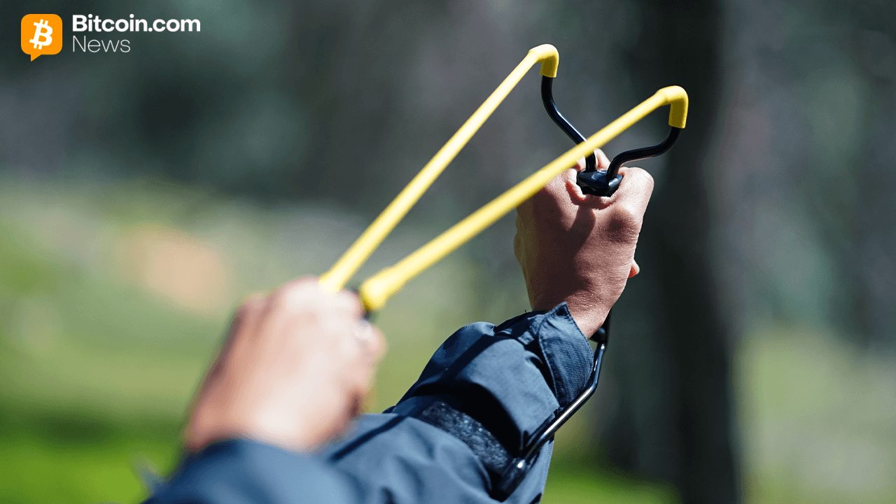 Bitcoins brutala rensning banar väg för en våldsam uppgångsåterhämtning