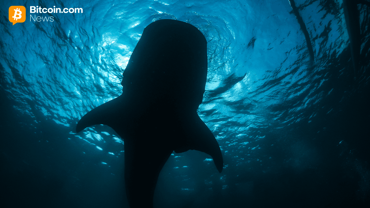 Onchain Analyst: Long-Sleeping Bitcoin Whale Resurfaces, Shifting 2,300 BTC to Paxos Wallet