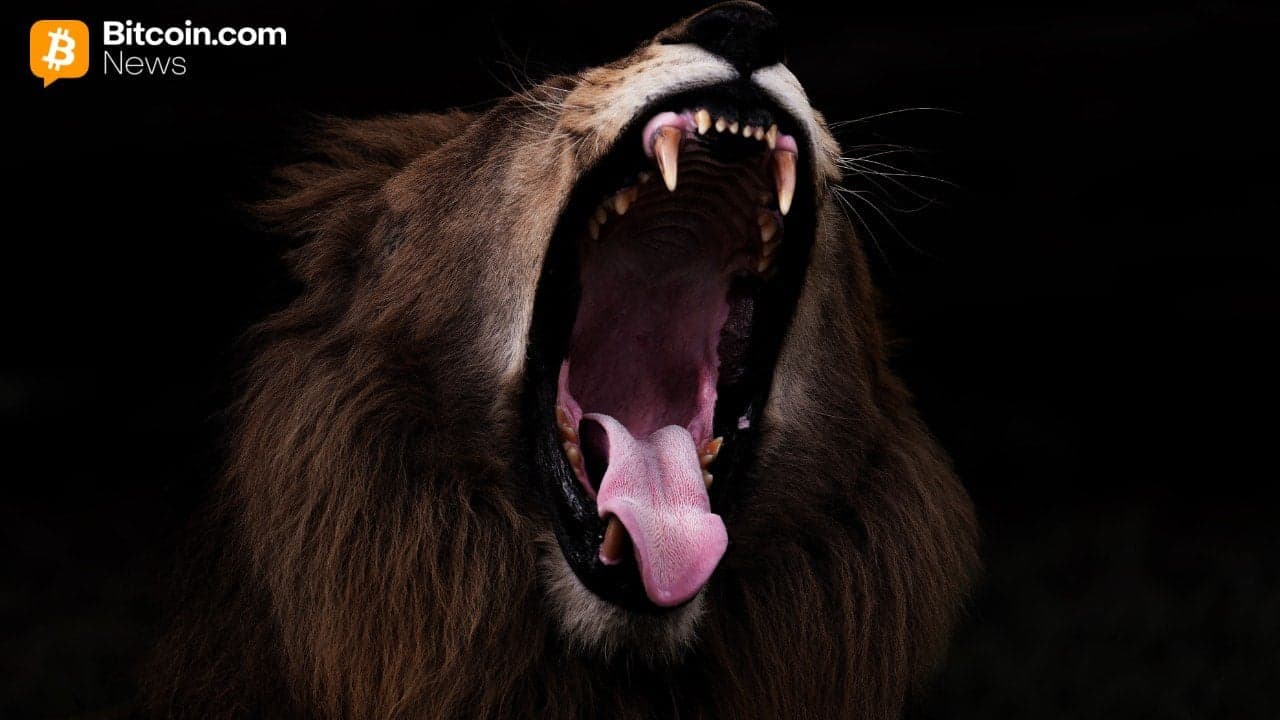 Bitcoin siktar på explosiv återhämtning med Nasdaq-stora rörelser redo att vända