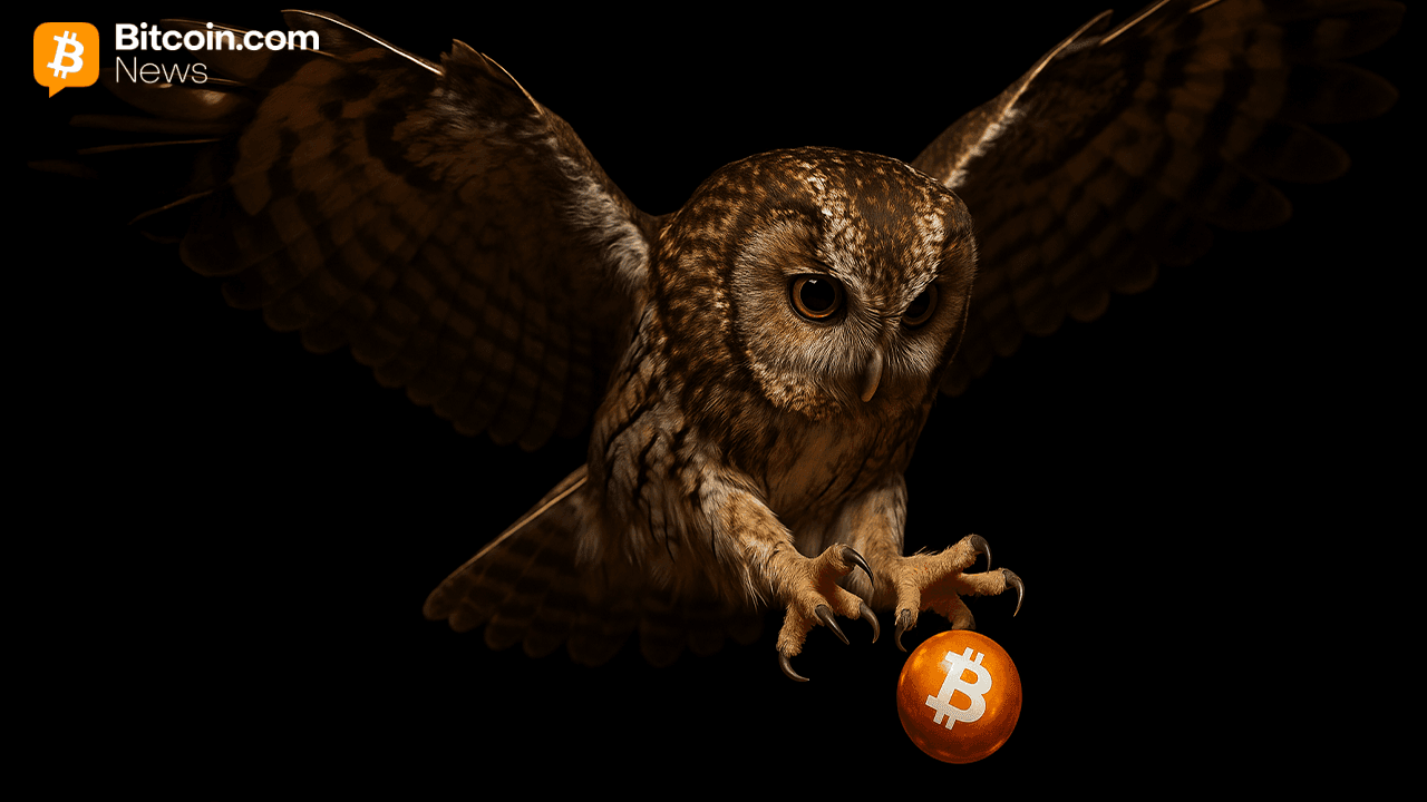 „Bitcoin After Dark” ETF a SEC-nél: A Nicholas Wealth éjszakai stratégiát mutat be