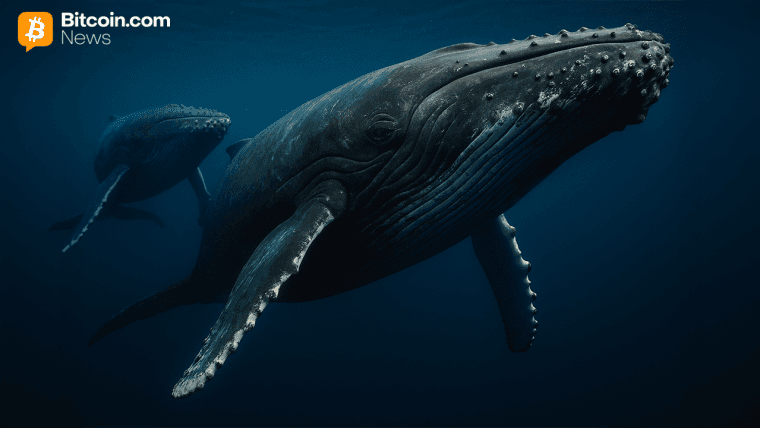 Cryptoquant : Les grands détenteurs se retirent, Bitcoin retrouve sa force à court terme