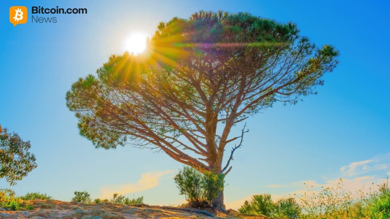 Wisdomtree lanserar tokeniserad strategi för optionsfond på aktier för kryptoinfödda investerare