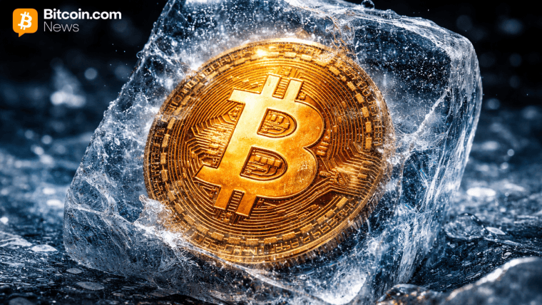 $1,65 Trillions sur la glace—Le Bitcoin lutte pour se débarrasser des ours