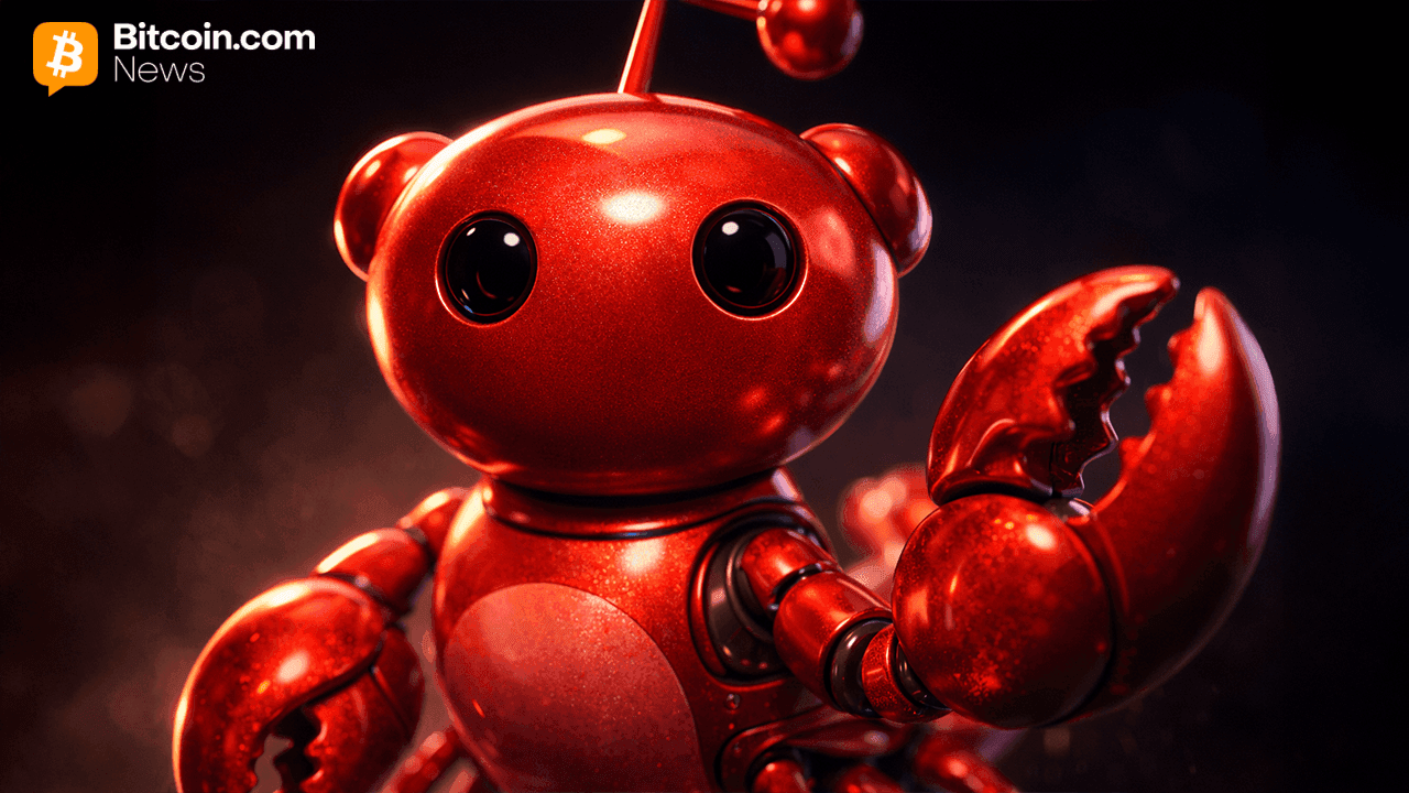 Moltbook: How AI Agents Ended up Building Their Own Social Network