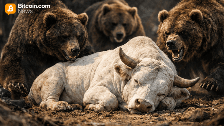 Bitcoin Prisenekt Drama: Vil $84K Sikkerhetsnettet Holde?