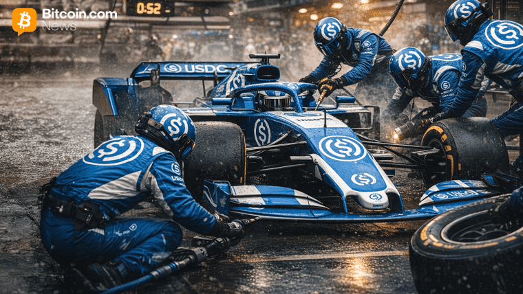 Stablecoin-markkinat ottavat hengähdystauon joulukuun 310 miljardin dollarin huipun jälkeen