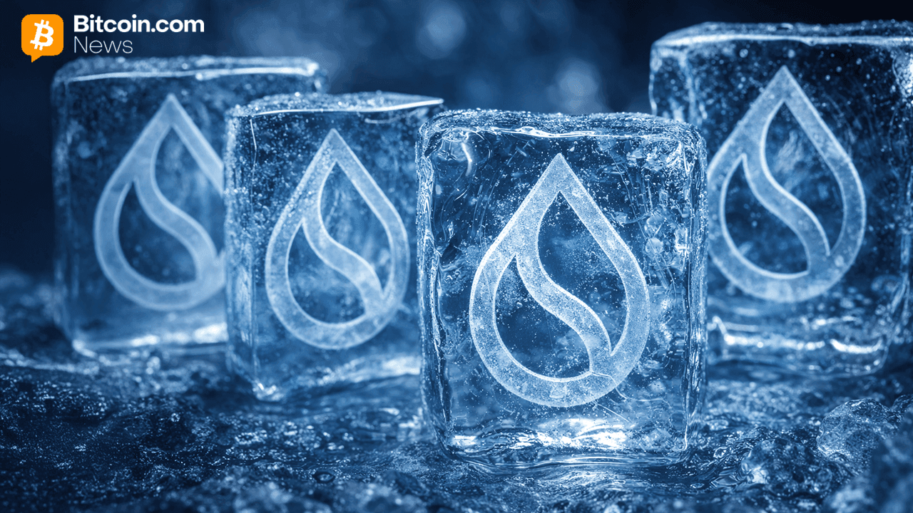 From Blocks to Standstill: Sui Mainnet Outage Freezes Onchain Activity