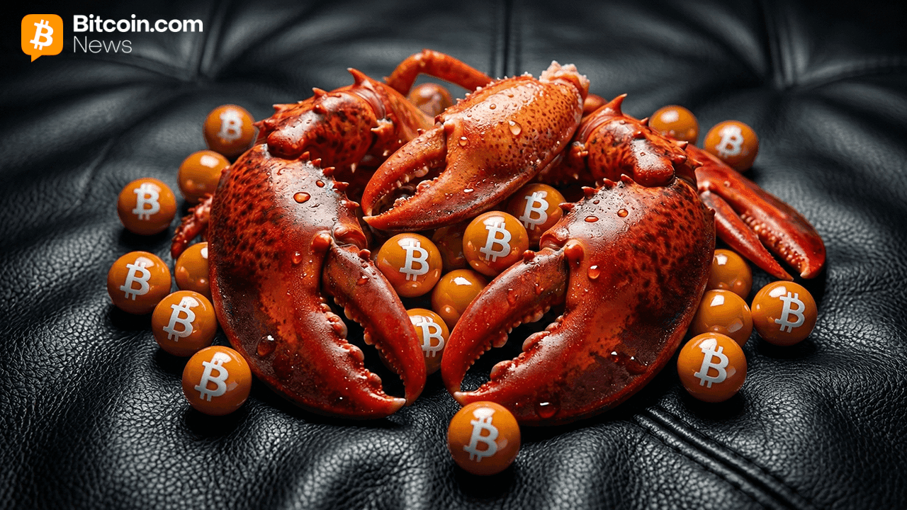 Las más de 20 capacidades criptográficas de Openclaw y por qué es importante la verificación