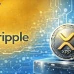 Ripple Boosts XRP Security With AI-Driven Network Enhancements