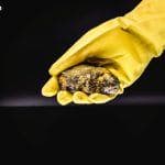 Tokenized Uranium Lending gaat van start via Metals.io en het Morpho Protocol