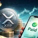 Perché l'aumento del prezzo dell'XRP rende i pagamenti più convenienti: Schwartz di Ripple chiarisce un malinteso